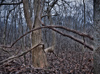 High Dynamic Range